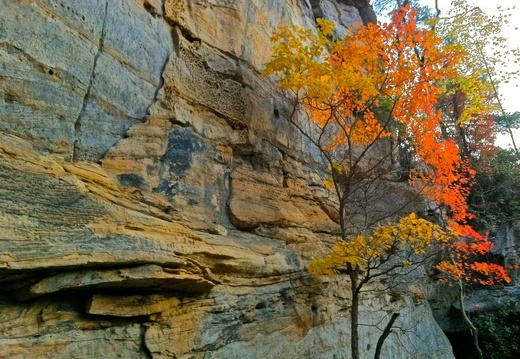 Natural Bridge State Park